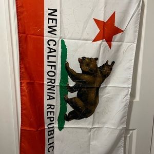 Fallout New Vegas Flag/NWOT